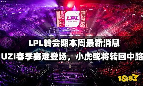 联盟最新爆料,揭秘神秘事件背后的惊人真相